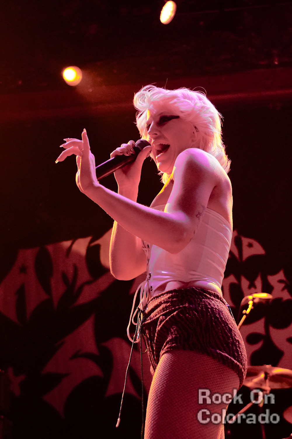 Amyl and the Sniffers at Ogden Theater