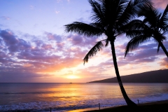 Maui Sunset 2015